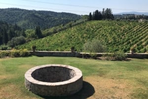 Florence: Chianti Montespertoli Wine Tour with Lunch