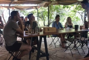 Florence: Chianti Montespertoli Wine Tour with Lunch