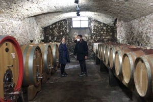 Florence: Chianti Montespertoli Wine Tour with Lunch