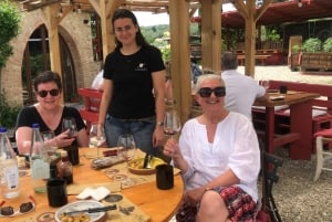 Florence: Chianti Montespertoli Wine Tour with Lunch