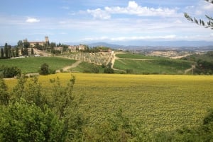 Florencja: Chianti Sunset Vespa Tour z degustacją wina i oliwy