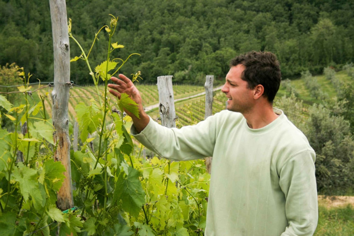 Firenze: Gimignano ja viinitilakierros.