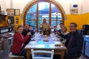 Firenze: Gimignano ja viinitilakierros.