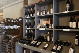 Firenze: Gimignano ja viinitilakierros.