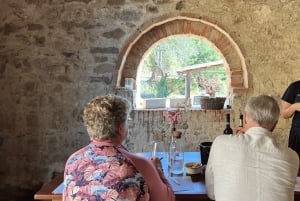 Firenze: Gimignano ja viinitilakierros.