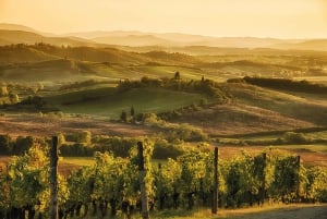 Florence: Chianti Vineyards Tour with Wine Tasting & Dinner