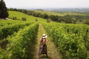Florence: Chianti Vineyards Tour with Wine Tasting & Dinner