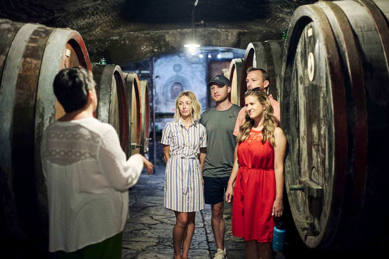 Firenze, Chianti vinsmagning og tur, Medici-villaen