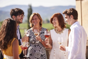 Firenze, Chianti vinsmagning og tur, Medici-villaen