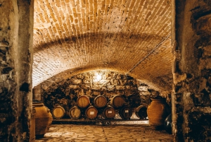 Firenze, Chianti vinsmagning og tur, Medici-villaen