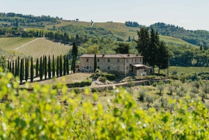 Chianti Wineries Tour with Food and Wine Tasting