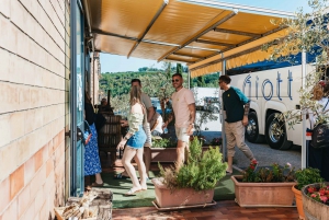 Chianti Wineries Tour with Food and Wine Tasting