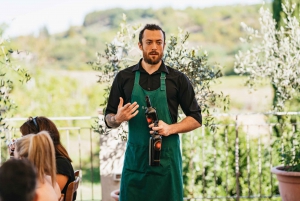 Chianti Wineries Tour with Food and Wine Tasting