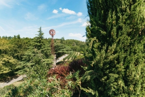 Chianti Wineries Tour with Food and Wine Tasting