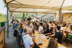 Chianti Wineries Tour with Food and Wine Tasting