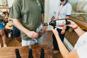 Chianti Wineries Tour with Food and Wine Tasting