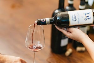Fra Firenze: Guidet tur til Chiantis vingårde med vin og mad