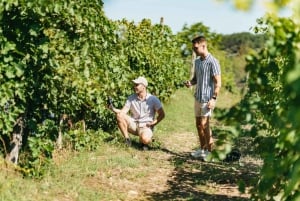 Chianti Wineries Tour with Food and Wine Tasting