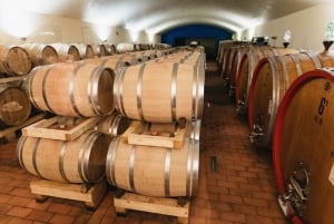 Florens: Chiantis vingårdar med mat och vinprovning