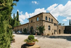 Fra Firenze: Omvisning på vingårder i Chianti inkludert mat og vinsmaking