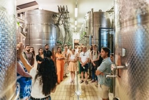 Florencia: tour por bodegas de Chianti con comida y vino