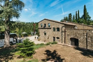 Fra Firenze: Guidet tur til Chiantis vingårde med vin og mad