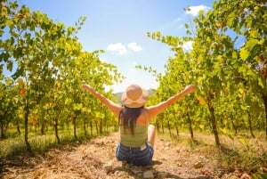 Florence: Chianti Wineries Tour with Food and Wine Tasting