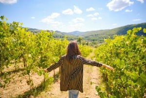 Florence: Chianti Wineries Tour with Food and Wine Tasting