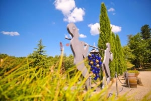 Florence: Chianti Wineries Tour with Food and Wine Tasting