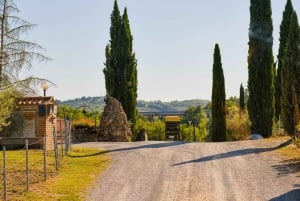 Florence: Chianti Wineries Tour with Food and Wine Tasting