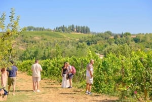 Florence: Chianti Wineries Tour with Food and Wine Tasting