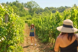 Florence: Chianti Wineries Tour with Food and Wine Tasting