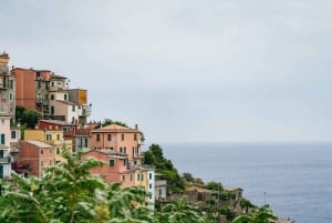 Florence: Cinque Terre Day Trip with Optional Hike