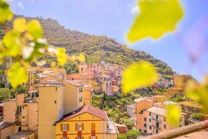 Florencja: Prywatna jednodniowa wycieczka do Cinque Terre