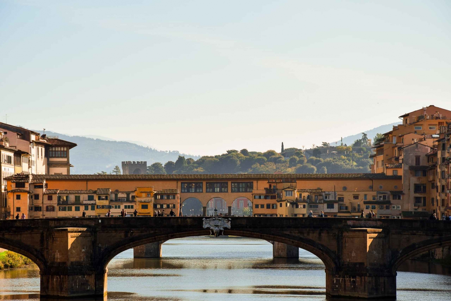 Florence: City Center, Accademia, and Uffizi Guided Tour