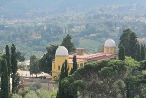 Florence: City Center And Hills Van Tour With Photo Stops