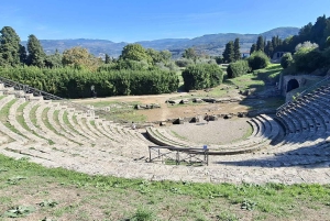 Florence: City Center And Hills Van Tour With Photo Stops