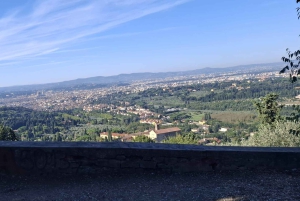 Florence: City Center And Hills Van Tour With Photo Stops