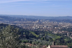 Florence: City Center And Hills Van Tour With Photo Stops