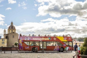 Florence: City Pass with Uffizi and Accademia Entry