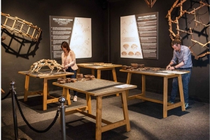 フィレンツェ：ウフィツィ美術館とアカデミア美術館入場付きシティパス