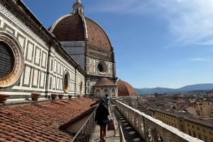 Florença: Passe de museu – David, Uffizi, Palácio Pitti e jardins