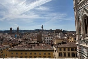 Florença: Passe de museu – David, Uffizi, Palácio Pitti e jardins
