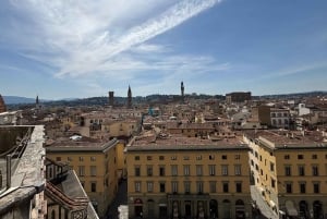 Florença: Passe de museu – David, Uffizi, Palácio Pitti e jardins