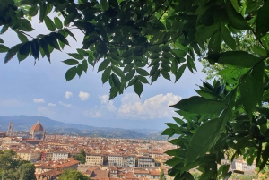 Florence: City Tour with Climb to Piazzale Michelangelo