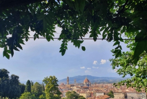 Florence: City Tour with Climb to Piazzale Michelangelo