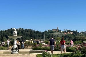 Florence: David, Pitti Palace, & Gardens Combination Tickets