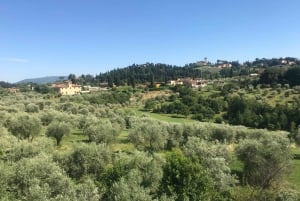 Firenze: Kombibilletter til David, Pitti-paladset og haverne