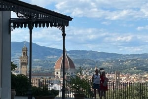 Florença: Ingressos para a combinação de David, Palácio Pitti e Jardins