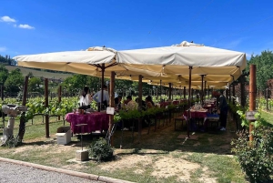 Florence : cours de cuisine et dégustation de vins à San Gimignano